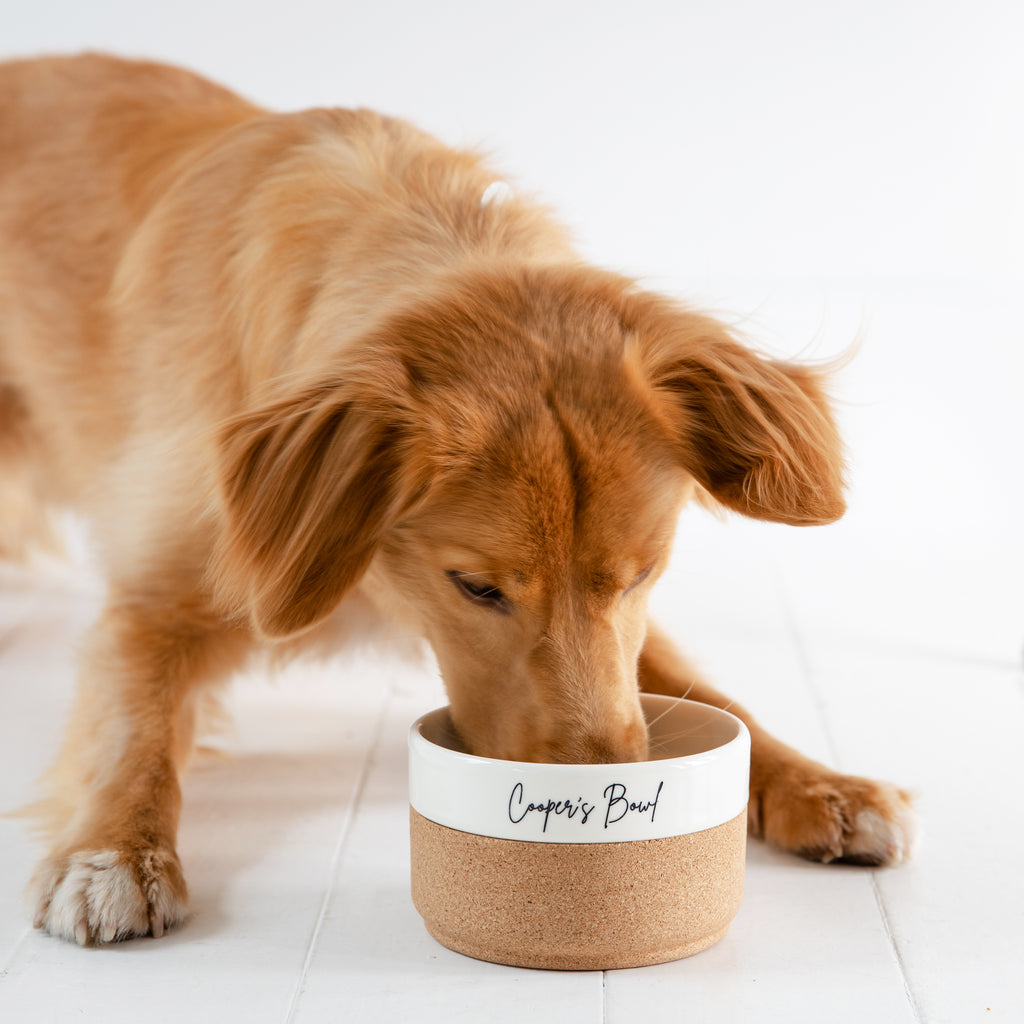 Personalised Ceramic Pet Bowl