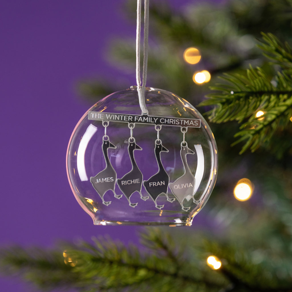 Personalised Geese Family Christmas Glass Dome Bauble