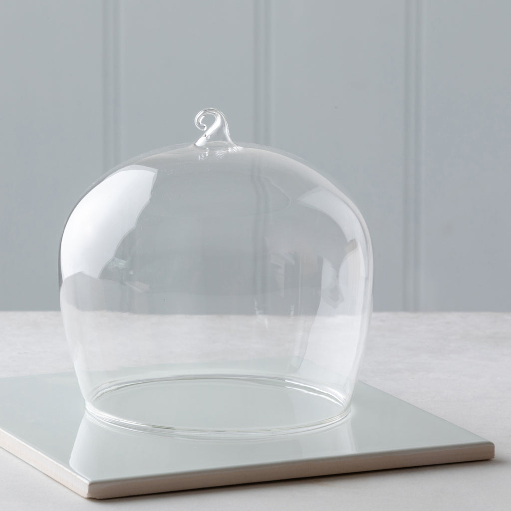 Glass Dome With Loop Replacement