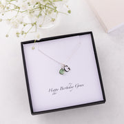 Silver Swarovski Birthstone And Initial Necklace