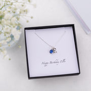 Silver Swarovski Birthstone And Initial Necklace