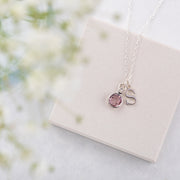 Silver Swarovski Birthstone And Initial Necklace
