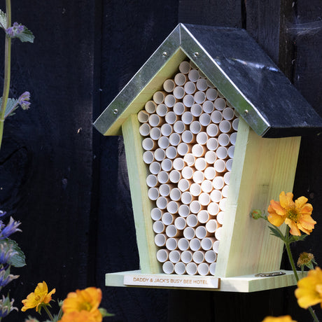 Father's Day Wildlife Bee Barn